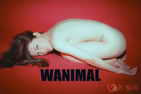 [合集]珍藏写真《WANIMAL王动》系列全套包含高清视频和套图，大小75.2G-孔雀海|珍藏合集