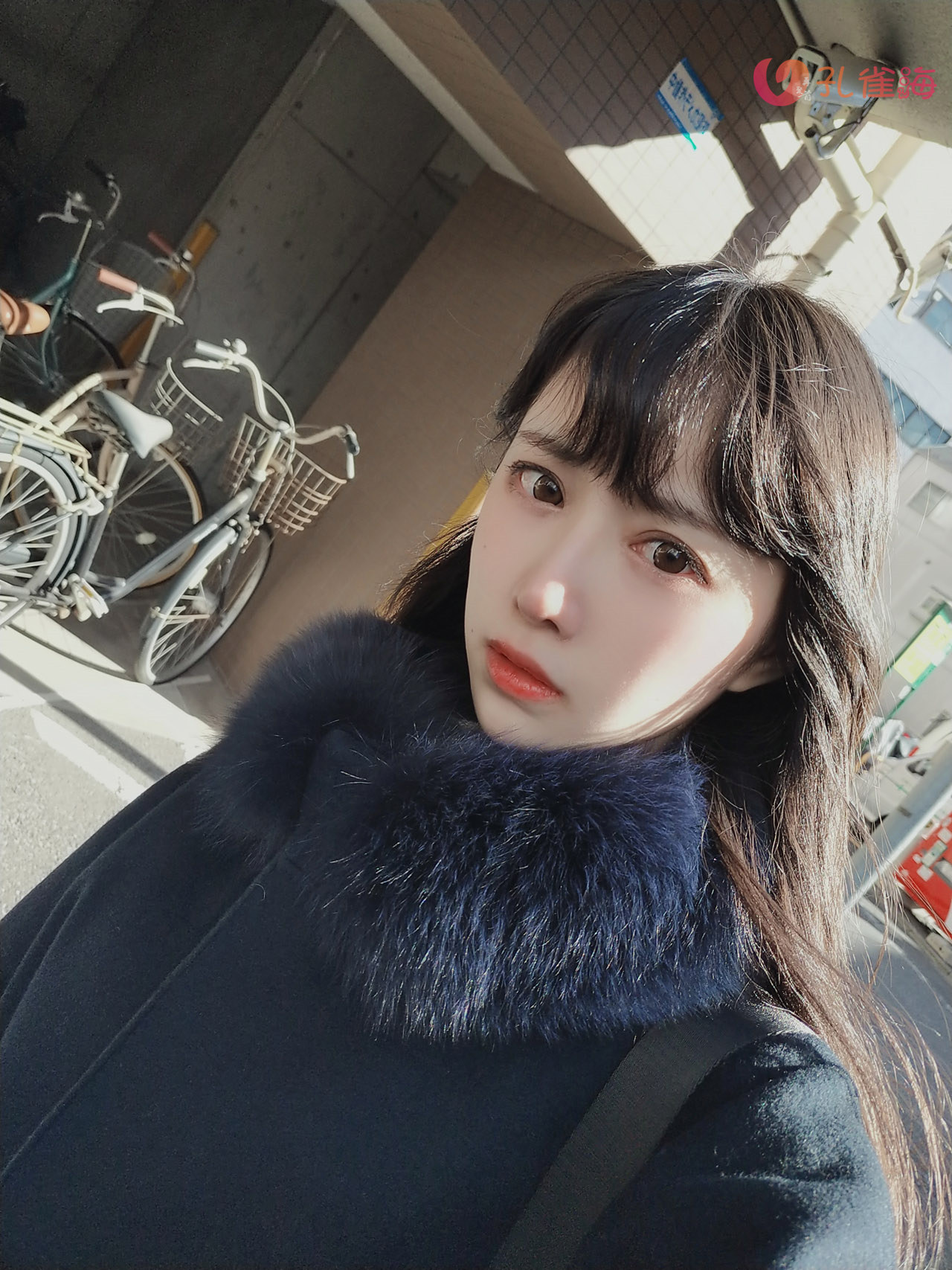 图片[11]-Shika小鹿鹿 - 全套131期&随包视频[22G-2025.9] - 孔雀海|珍藏合集-孔雀海|珍藏合集